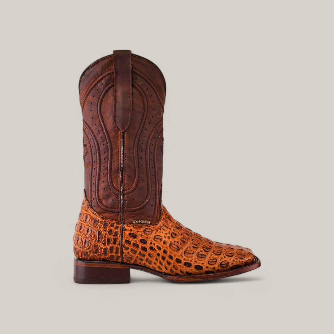 The Alligatoar Horn Back Print Honey - Square Toe is a cowboy boot featuring detailed stitching on a brown upper and rich orange alligator leather lower section, designed with a square toe, low heel, and pull tab, all set against a plain light gray background.