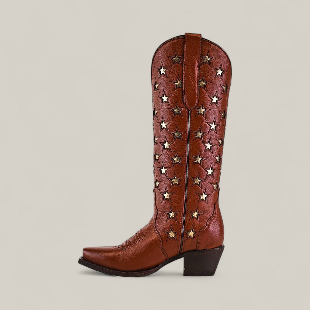 The Marjorie Star Brown Tall Shaft Snip Toe boot features brown leather, a mid-height heel, and gold star studs along the shaft, shown against a plain light background.