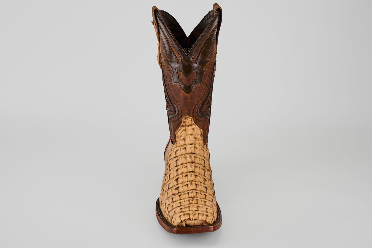 The Exotic Caiman Hornback - Antique - Rodeo Toe boot features a woven light tan lower, dark brown leather upper, and antique rodeo toe, displayed upright and facing forward on a plain light gray background.