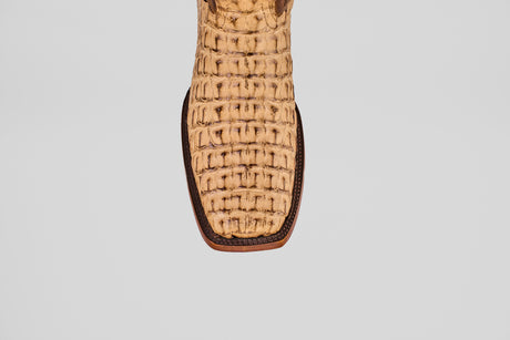 Close-up of the front of the Exotic Caiman Hornback - Antique - Rodeo Toe boot, featuring light brown caiman leather with a textured, woven pattern and darker trim, shown against a plain white background.