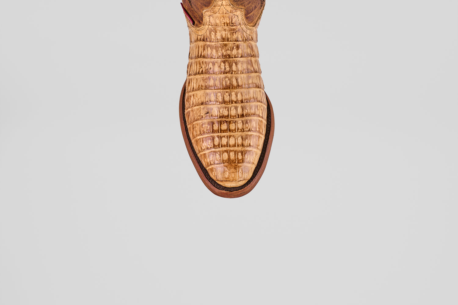Exotic Caiman Belly - Fawn - Round Toe