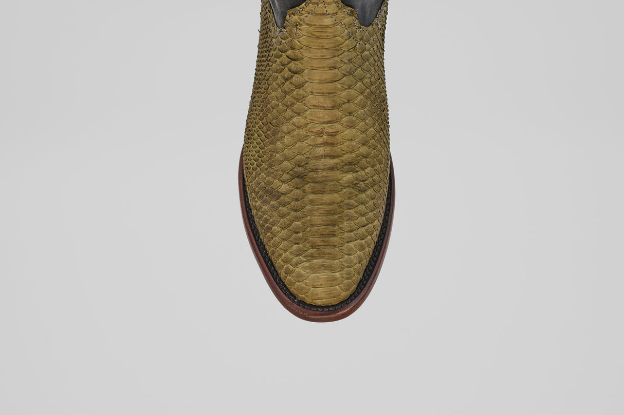 Tanner - Jungle - Rolper Toe