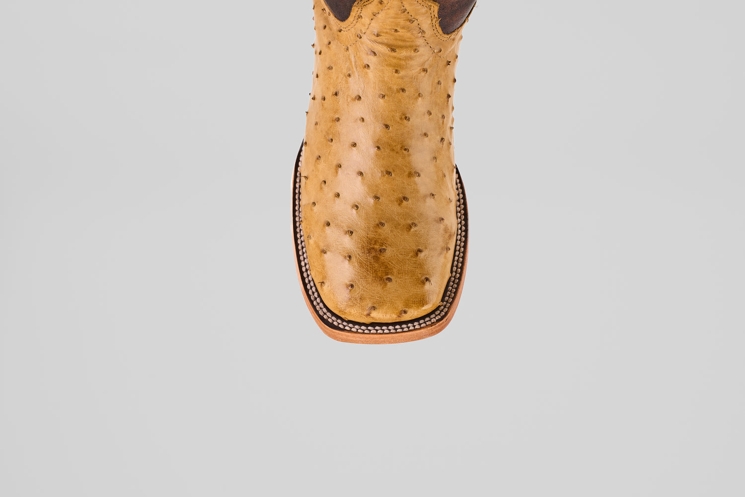 The Exotic Full Quilt Ostrich - Fawn - Square Toe boot features premium tan ostrich leather with decorative stitching, showcased from above on a plain grey background—an elegant square toe cowboy boot.