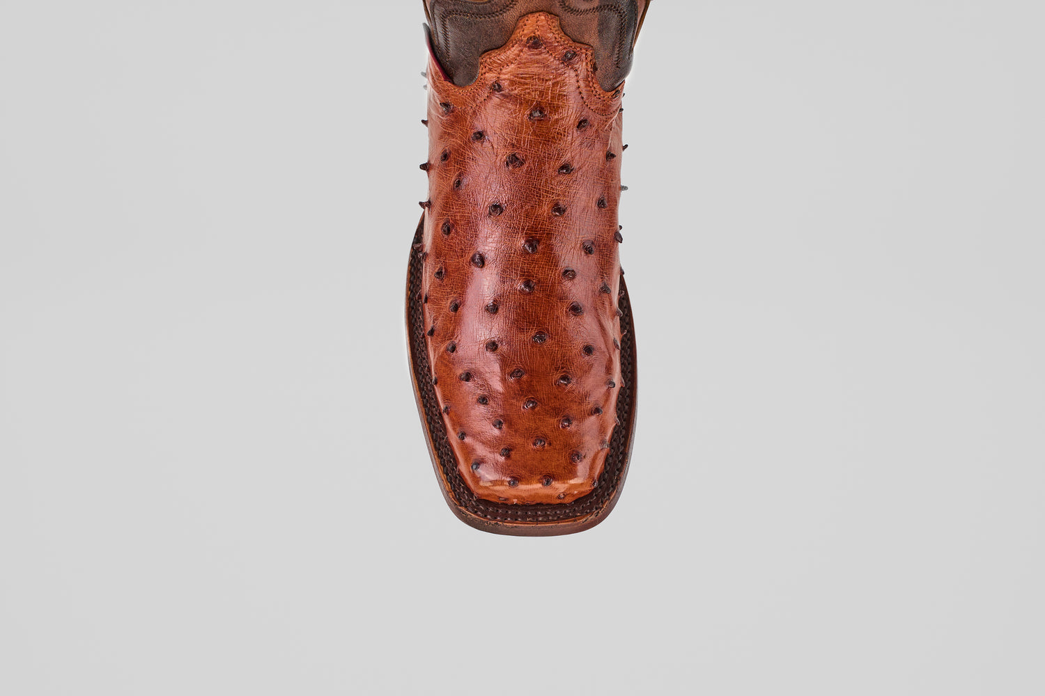 A close-up, top-down view of the Exotic Ostrich - Brandy - Rodeo Toe boot, made from genuine ostrich leather with a square toe and textured surface, set against a plain white background.