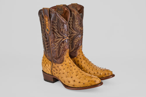 Austin - Fawn - Round Toe