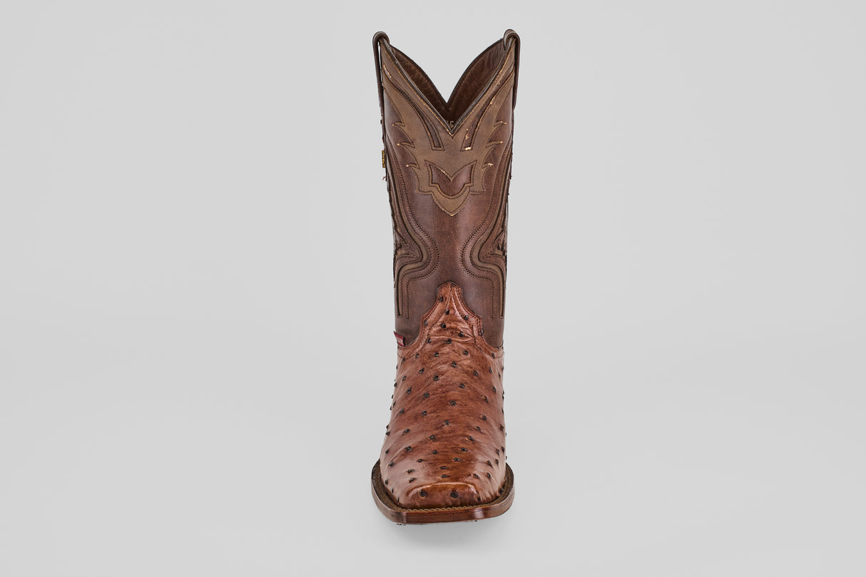 The Austin - Brown - Rodeo Toe boot, crafted from luxurious avestruz leather in Kango Tabaco, is shown from the front against a white background. It features decorative stitching and a pointed toe—ideal for any rodeo-inspired style.