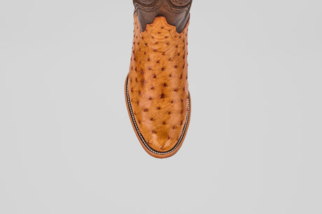 The Austin - Brandy - Roper Toe is a single tan and brown ostrich leather cowboy boot with a textured, spotted pattern, shown from above on a plain white background.