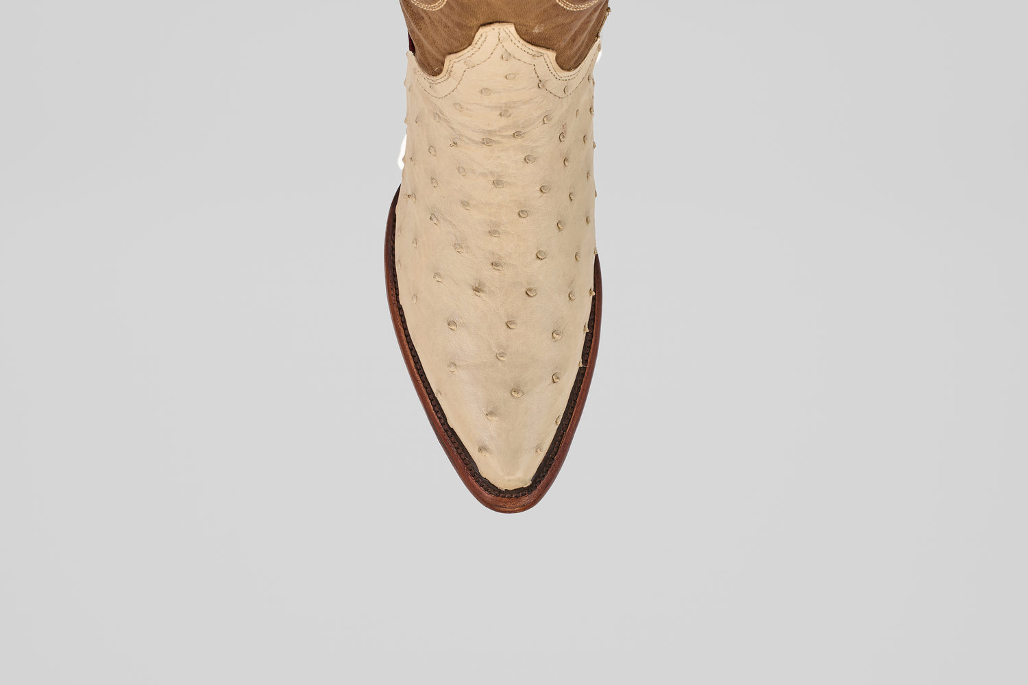 Top view of the Austin - Bone - Snip Toe boot in cream with a textured, ostrich-style finish and brown sole, centered on a plain light gray background.