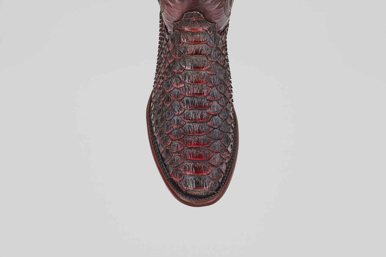 A close-up, top-down view of the round toe of the Tanner Jumbo - Black Cherry cowboy boot in textured Python leather, shown against a plain white background.