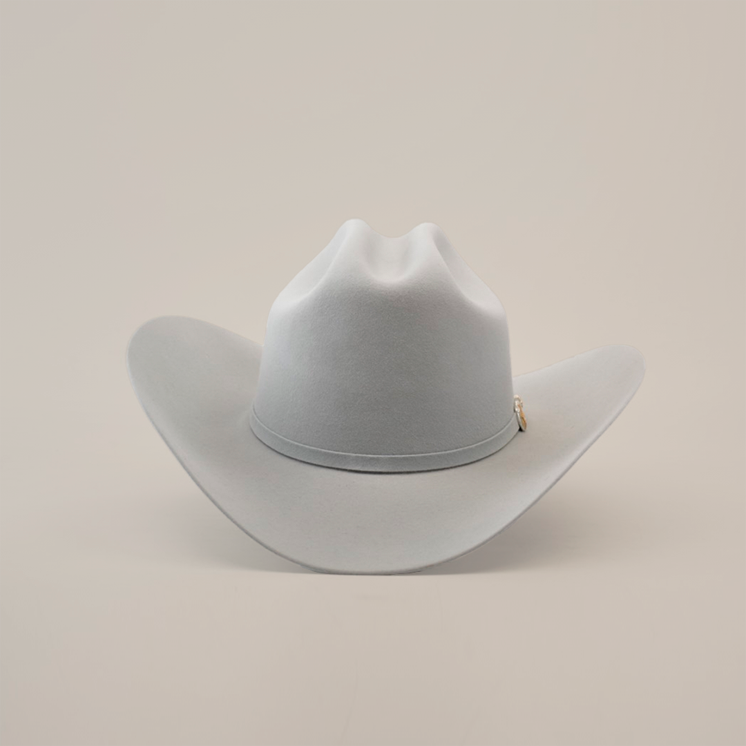 A light gray, wide-brimmed 6X Real Platinum cowboy hat featuring a curved crown and a subtle decorative band, set against a plain white background.