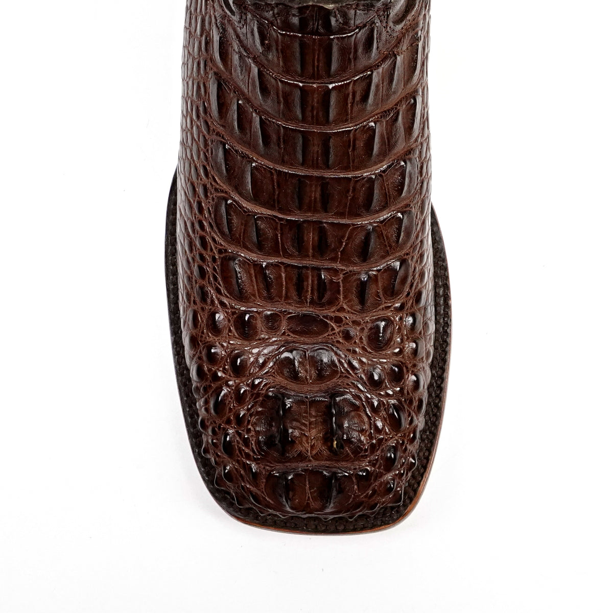 James Alligator Head Boots - Brown - Square Toe (LG10) - Gomez Western Wear