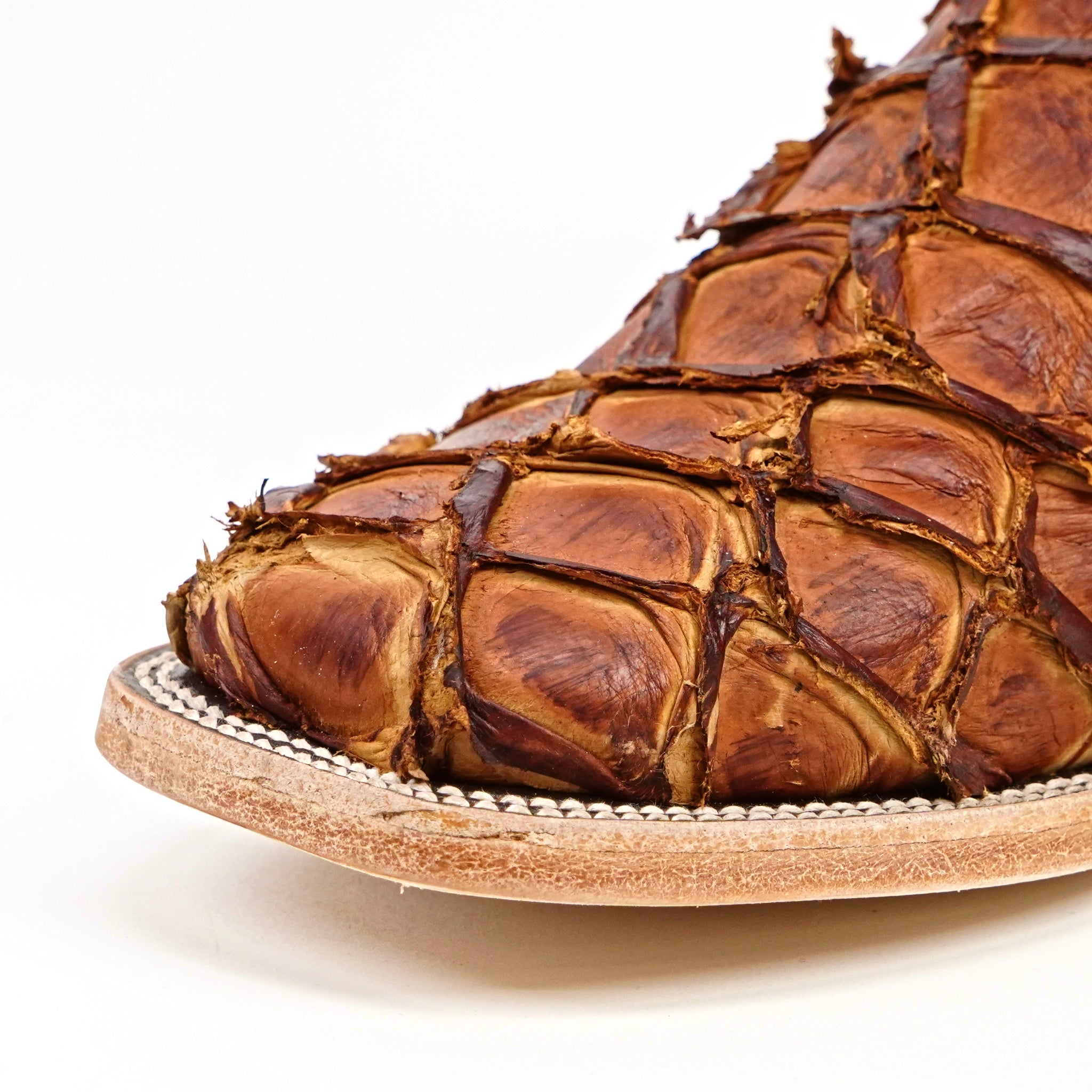 Connor Pirarucu Fish Boots- Pecan - Square Toe (PZ60)