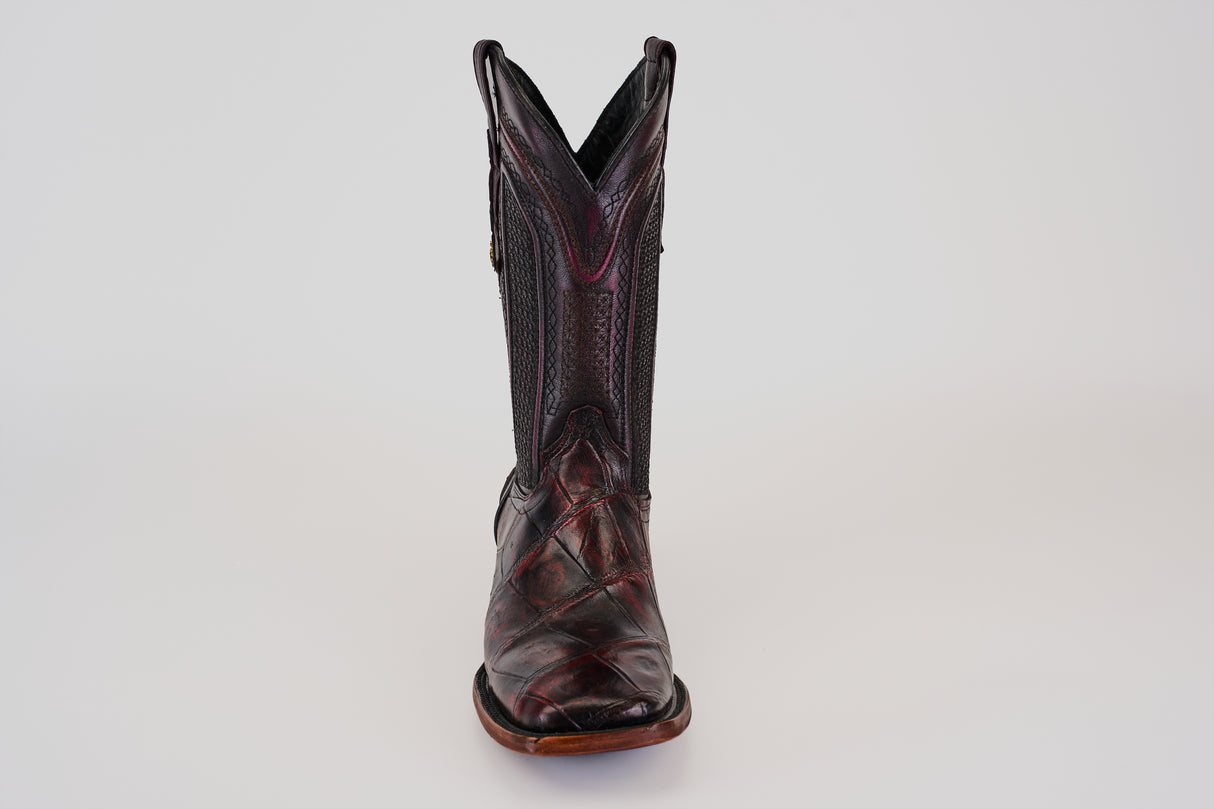 LG10 Lagarto Cola Belly Black Cherry