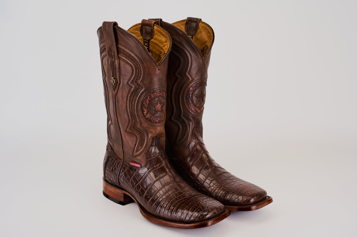 LG10 Lagarto Cola Belly Cafe