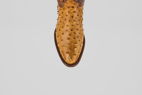 Top-down view of the Exotic Full Quilt Ostrich - Paja - Round Toe boot in tan ostrich leather against a plain light background, highlighting its classic Western heritage style.