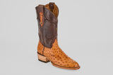 The Austin - Brandy - Roper Toe men's cowboy boot features a tan ostrich leather foot and a dark brown, stitched leather shaft, shown on a light gray background—a refined twist on classic ostrich cowboy boots.