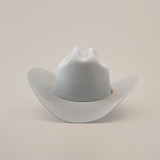 A light gray, wide-brimmed 6X Real Platinum cowboy hat featuring a curved crown and a subtle decorative band, set against a plain white background.